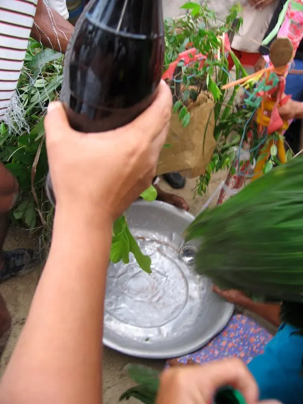 Vinho como sangue do boi na matança do boi-bumbá Ouro Fino, de Ourém, em 2004