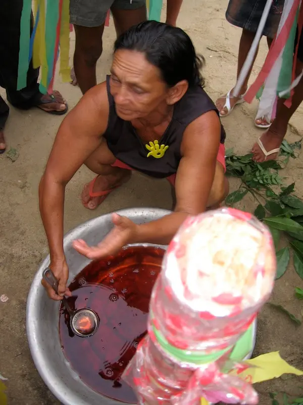 Vinho como sangue do boi na matança do boi-bumbá Ouro Fino, de Ourém, em 2004